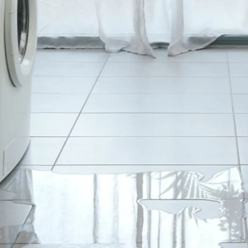 Appliance Leak Cleanup in Pinconning, MI