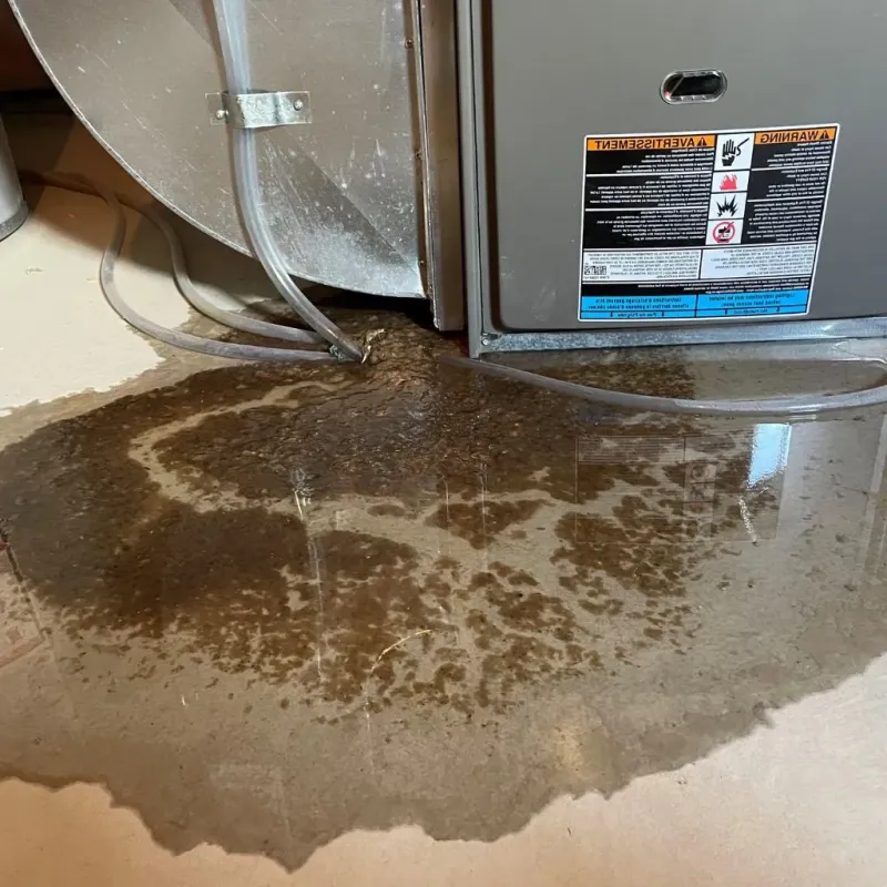 Pipe Burst and Leak Restoration in Pinconning, MI