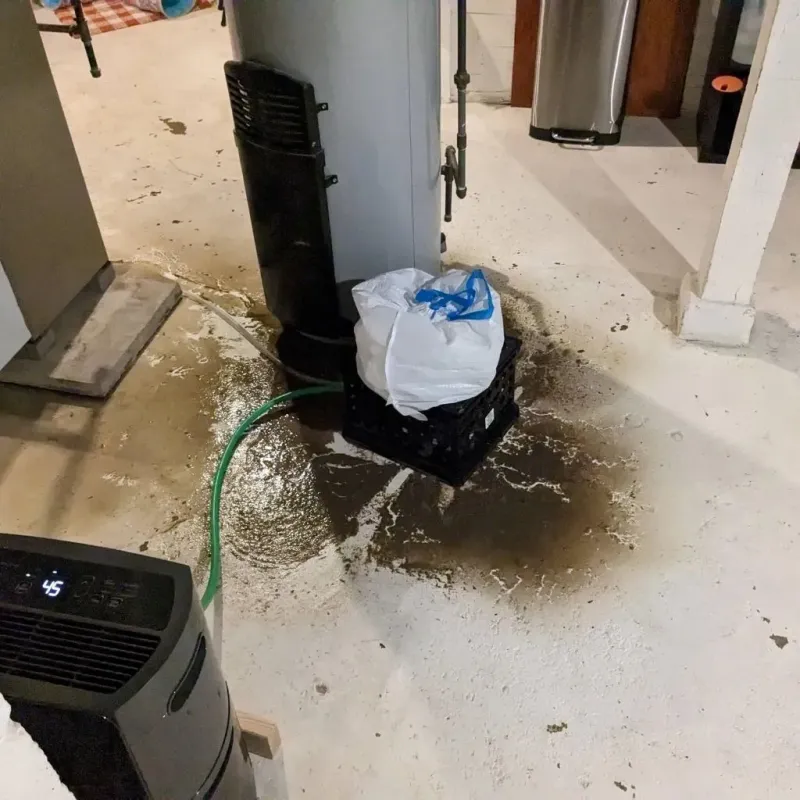 Sewage Backup Cleanup Service in Pinconning, MI